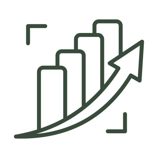 Investment Strategy